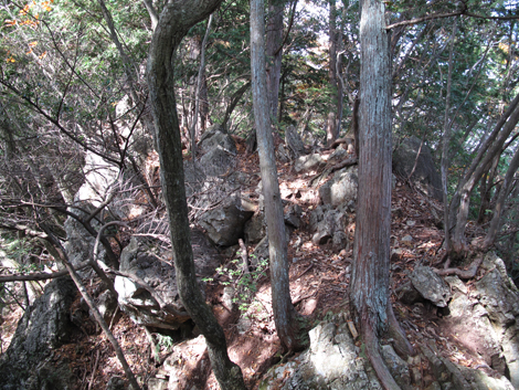 20171102hike (71)